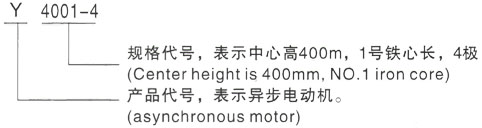 西安泰富西玛Y系列(H355-1000)高压南岳三相异步电机型号说明