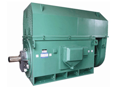 南岳Y系列6KV高压电机